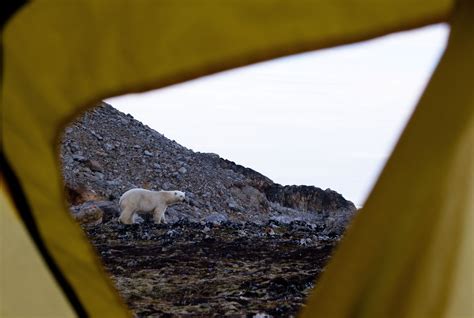 A Picture Of The Arctic From Ellesmere Island Expedition Eddie Bauer Be First Adventure