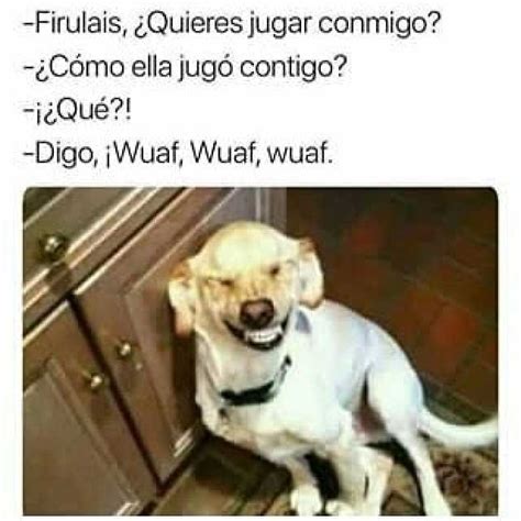 Firulais ¿quieres Jugar Conmigo Cómo Ella Jugó Contigo ¡ ¿qué Digo Iwuaf Wuaf Wuaf