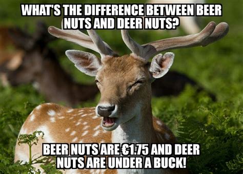These Puns Are Terribly Deer Beer Nuts Puns Deer Funny Quotes