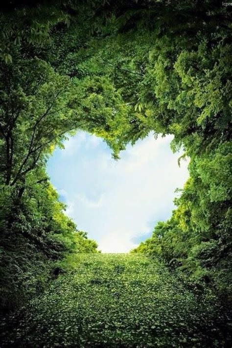 Heart In Nature Image By Karin Johns On Crafts Beautiful Nature Nature