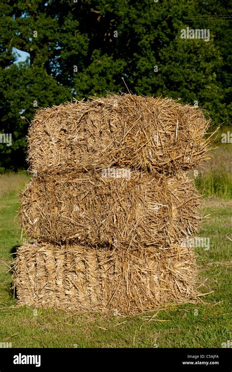 Straw Bales In A Small Stack Stock Photo Alamy