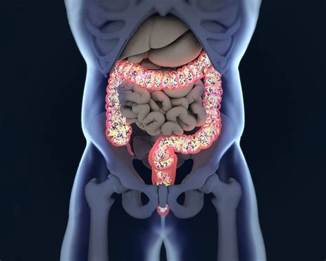 Foods That Promote The Microbiome El Paso Tx Gut Microbiome For