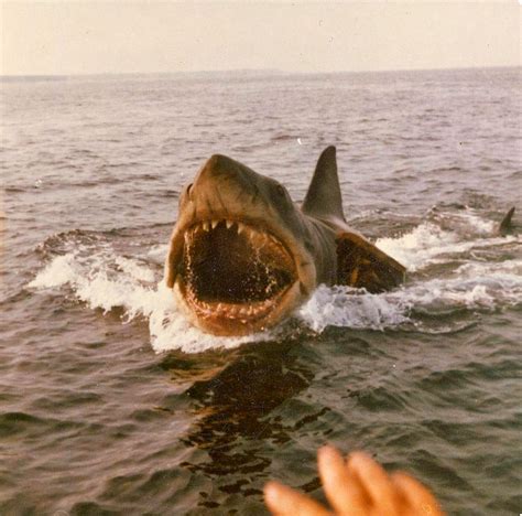 Rare Color Photos From The Filming Of Jaws On Katama Bay Marthas
