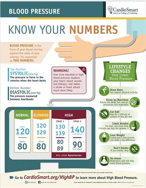 Pin By Ann Celestine On Ann S Pintrests Normal Blood Pressure Blood