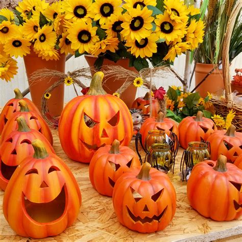 Halloween Decorations Free Stock Photo Public Domain Pictures