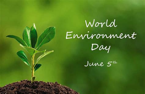 Oggi Giugno La Giornata Mondiale Dellambiente World Environment