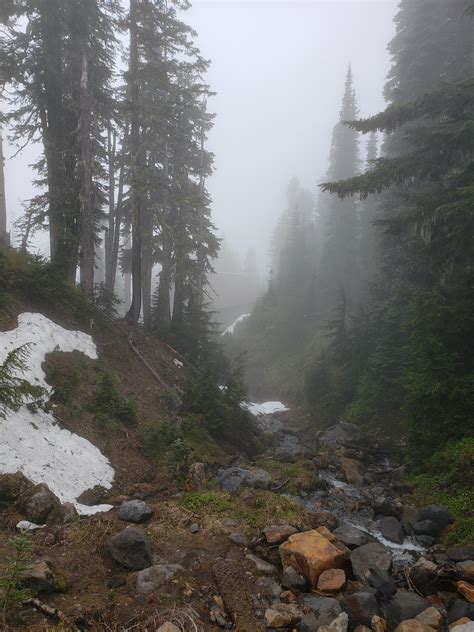 Mount Rainier National Park Wa Shrouded In Fog 3024x4032 Oc R