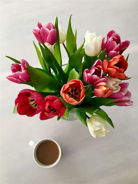 A Vase Filled With Red And White Tulips Next To A Cup Of Coffee