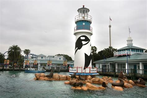 Seaworlds New Dolphin Cove Closed For Repairs Orlando Sentinel