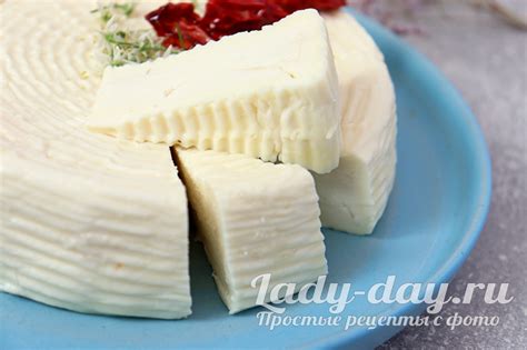 Мягкий сыр из молока в домашних условиях Простые рецепты с фото