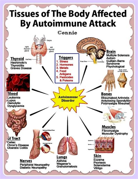 Inflammation and Autoimmune Disease
