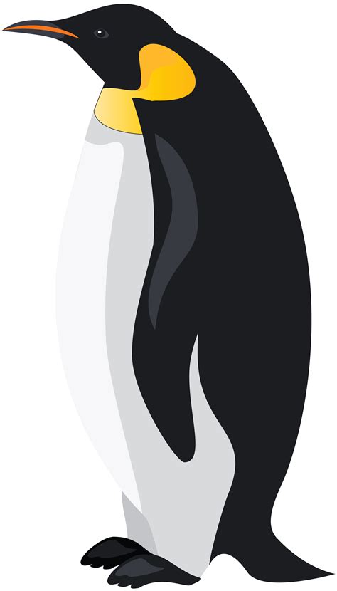 Penguin clipart emperor penguin, Penguin emperor penguin Transparent png image