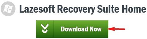 Lazesoft Recovery Suite Home инструкция