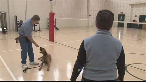 K9 Corrections Helps Dogs And Inmates At Maine State Prison