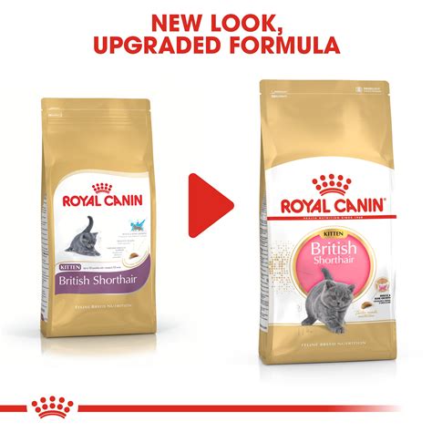 Royal Canin British Shorthair Kitten 2kg Superpet Warehouse