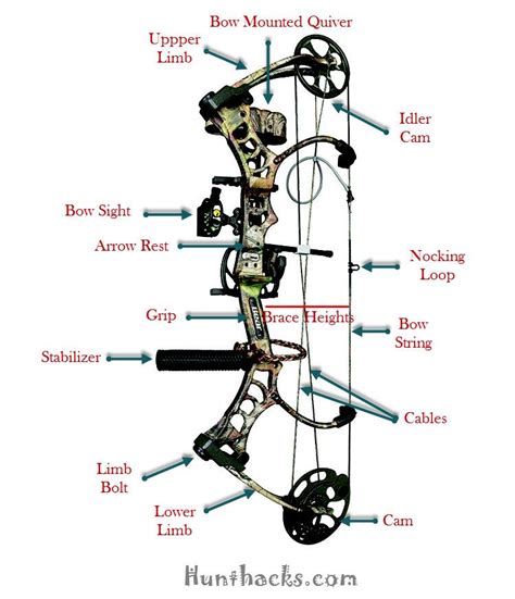 Best Compound Bow Compound Bow Bow Sights