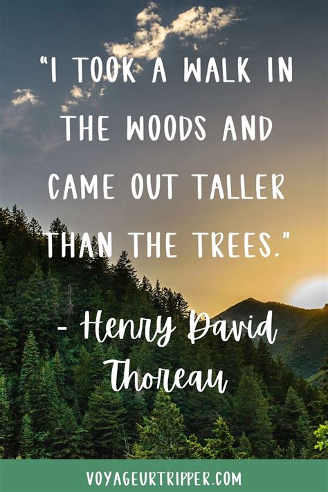 120 Outdoor Quotes About Hiking Nature Climbing Adventure And More