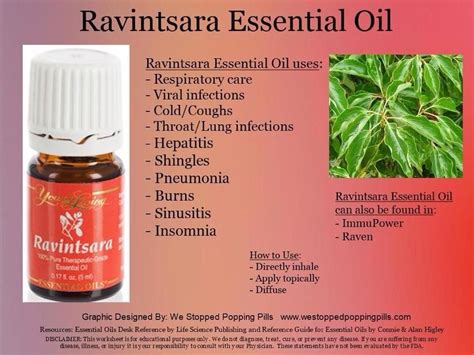 Uses For Ravintsara Essential Oils Herbs Living Essentials Oils