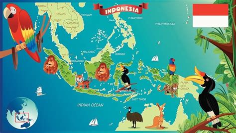 Peta Persebaran Flora Dan Fauna Di Indonesia Materi Geografi Kelas