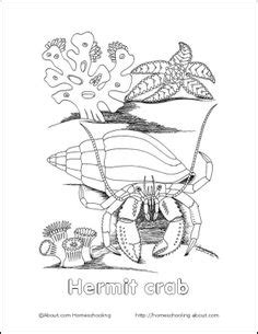 Hermit crab is nervous because of a big change going on in his life: 8 free printable Under The Sea coloring pages | Party ...