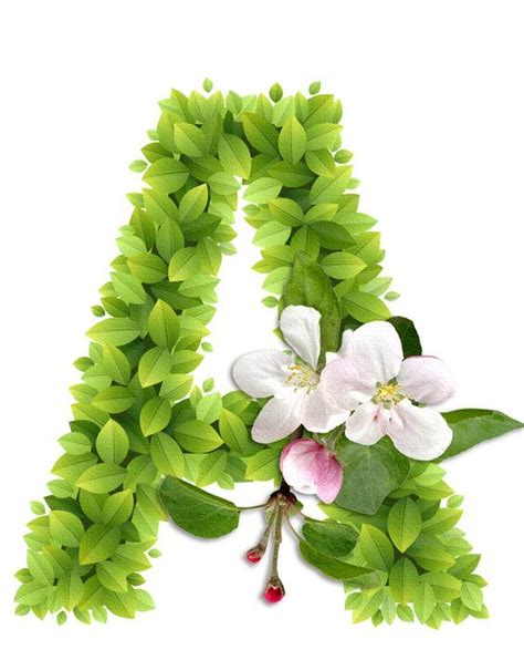 Abecedario Con Hojas Verdes Y Flores Blancas Alphabet With Green