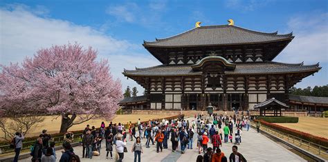 Nara Temples And Shrines 10 Amazing Places You Have To Visit 2020 Guide