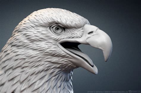 Bald Eagle Head Sculpture 3d Model Obj Stl Sculpting By Voronart