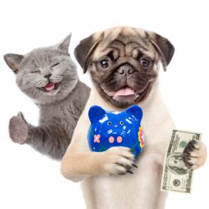 Animal shelters have a variety of needs: Donate Lancaster, PA Animal Charity | Centerville Pet Rescue
