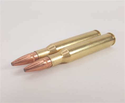 270 Winchester Ammo W Sierra 90 Grain Gameking Soft Nose Bullets