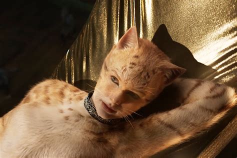 Fans Made The Butthole Cut Of Cats A Reality The Mary Sue