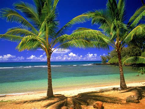 44 Free Wallpaper Hawaii Beach Scenes