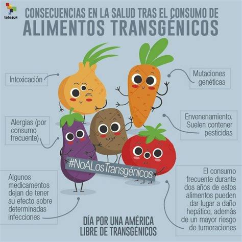 Causas De Consumir Los Alimentos Transgenicos Brainly Lat