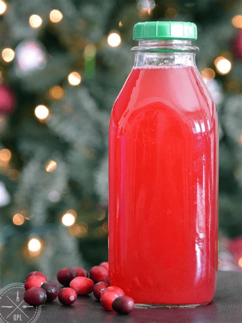 The Homemade Cranberry Juice Recipe Our Paleo Life Recipe