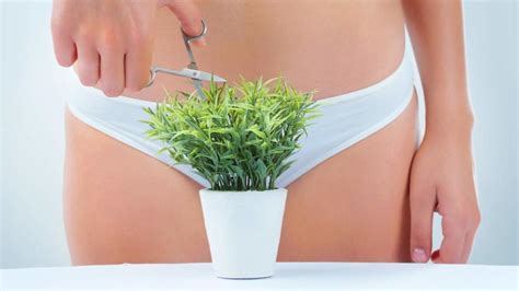 The Healthiest Style Of Pubic Hair According To Gynecologists