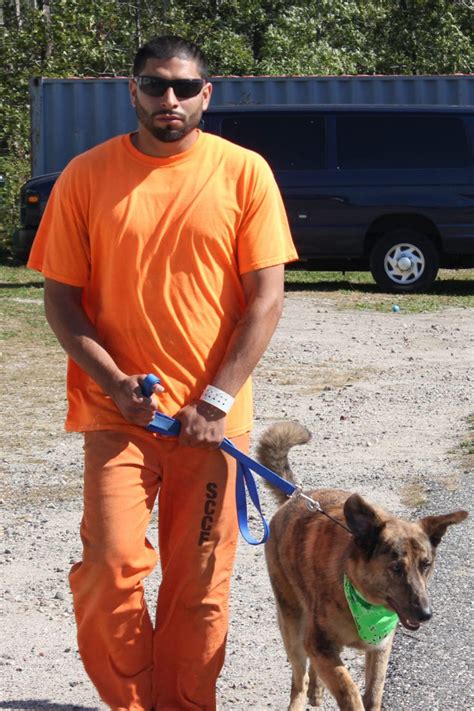 New Trial Program Pairs Inmates With Shelter Dogs Tbr News Media