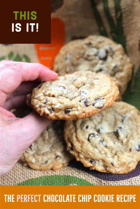 You are going to prep these as you would any other. The Perfect Chocolate Chip Cookie Recipe