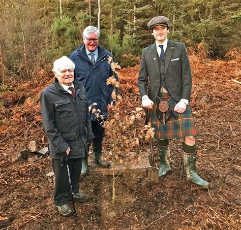 Centenary Of The Forestry Commission Tree Planting
