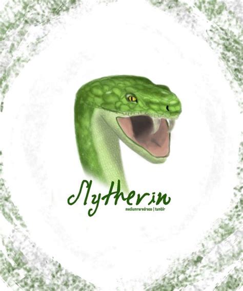 Slytherin Ravenclaw Pride Slytherin House Slytherin Snake Hogwarts