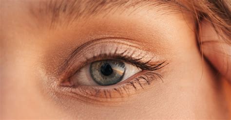 Womans Brown Eyes In Close Up Photography · Free Stock Photo