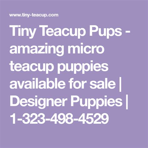 Teacup yorkie breeder hand raised toy yorkie in a loving home environment pups, cutest yorkies in texas tx. Tiny Teacup Pups - amazing micro teacup puppies available ...