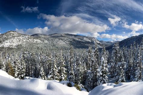 Weather Lake Tahoe Its Snowing—heres What Youre Missing Curbed Sf