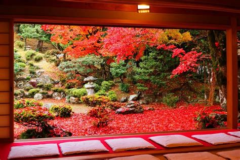 Seiryuji Tokugen In Temple Hidden Autumn Leaves Destination In Japan