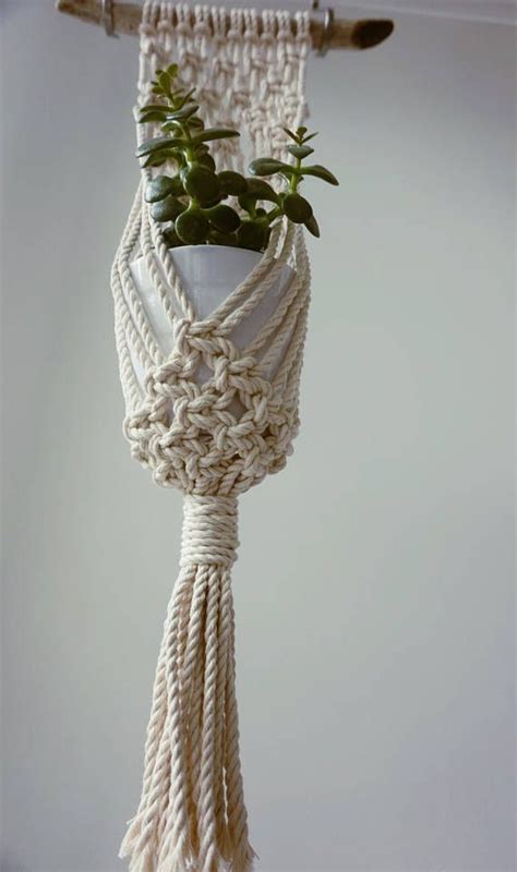 How To Make A Simple Rope Plant Hanger Make It And Love It Driftwood