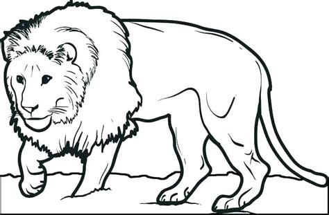 Amongst numerous benefits, it will teach your cub to focus, to develop motor skills, and to help recognize colors. Baby Lion Coloring Pages at GetDrawings | Free download