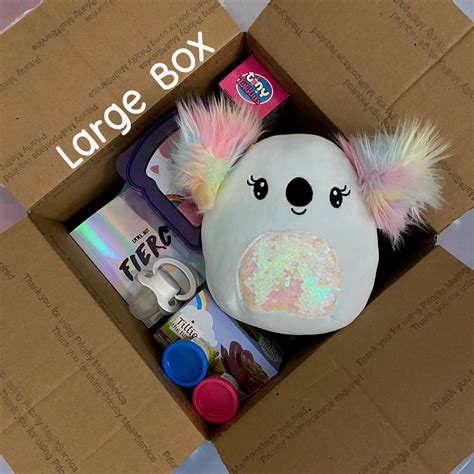 Squishmallow Mystery Littlespace Box Etsy