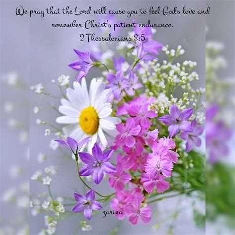 Which of these bible verses was most meaningful to you? bible verse 03/07/2017 | Beautiful flowers, Pretty flowers ...
