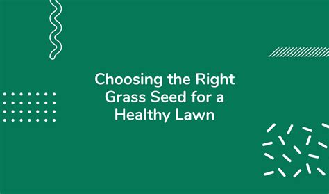 Achieving The Greenest Grass A Comprehensive Guide To Lawn Care Heyhome
