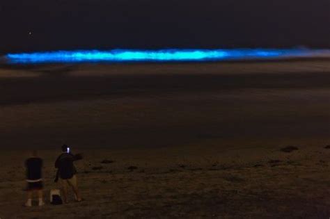 Bioluminescence Is So Cool To See In Person Bioluminescent Red Tide