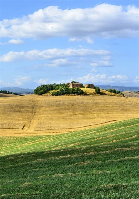 Crete Senesi Tuscany Italy Stock Image Image Of Plant Hill 52468427
