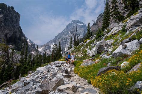 Grand Teton National Park Best Of Jackson Hole Local Guide To